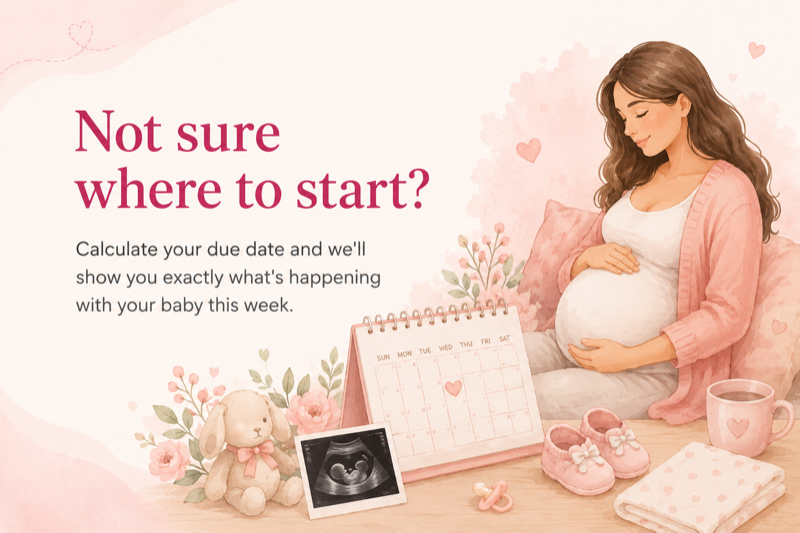 Not sure where to start? Calculate your due date and we'll show you exactly what's happening with your baby this week.