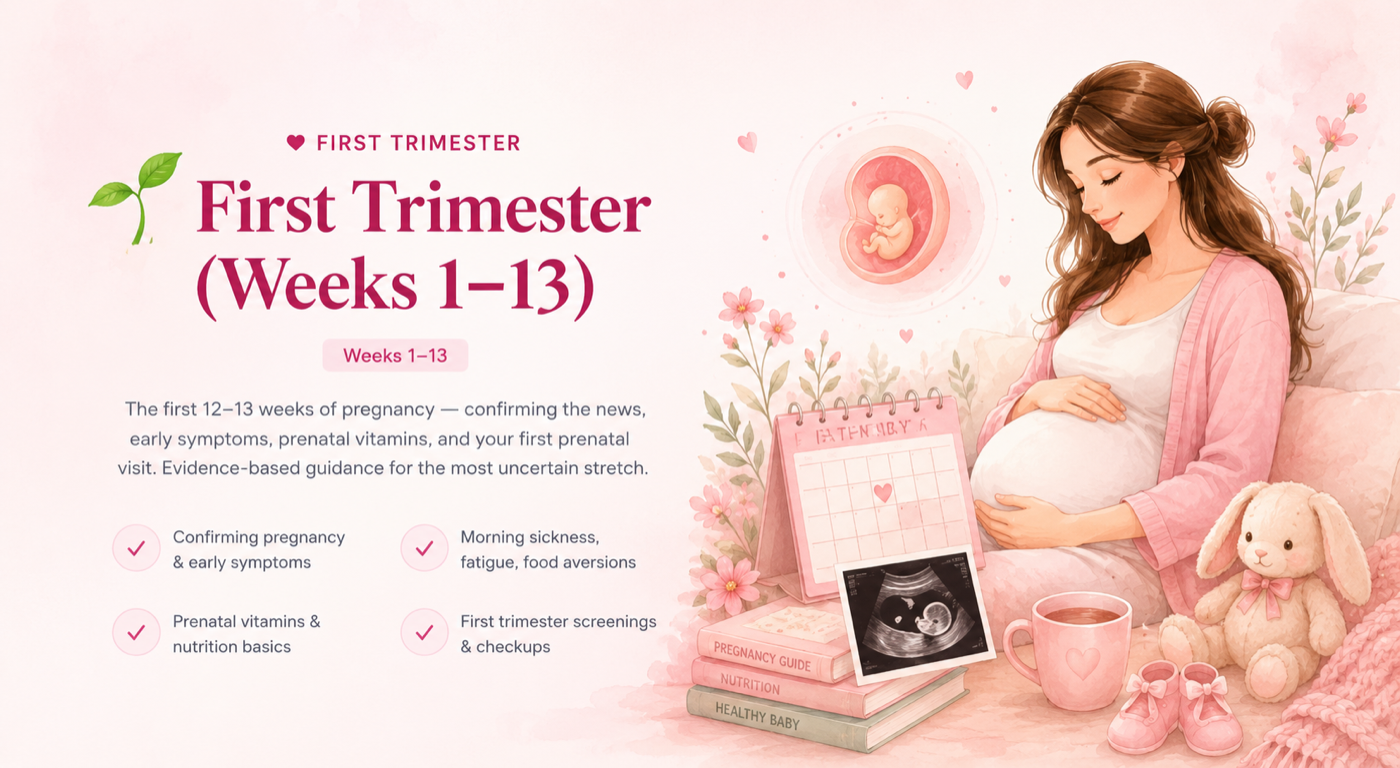 First Trimester (Weeks 1–13): Confirming the news, early symptoms, prenatal vitamins, and your first prenatal visit.