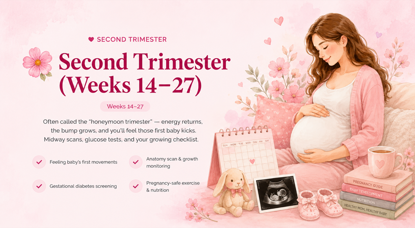Second Trimester (Weeks 14–27): The 'honeymoon trimester' — energy returns, baby kicks, anatomy scans, and gear planning.
